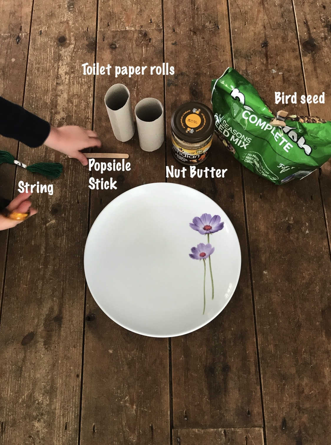 Make your own bird feeder materials